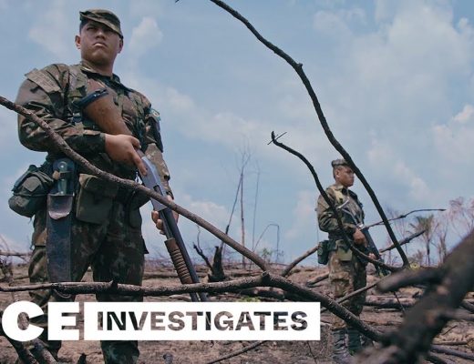 Art of the cut podcast eps 44 vice investigates team