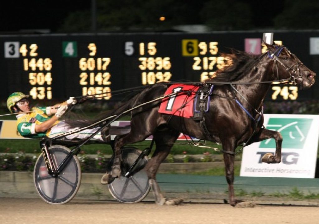 meadowlandsshot_thumb.jpg