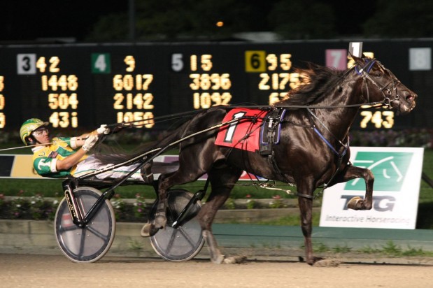 meadowlandsshot_thumb.jpg