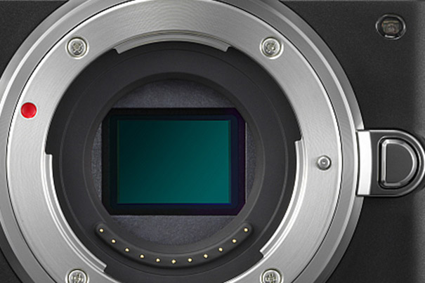 Has Micro Four Thirds Reached Its Pixel Limit? 5