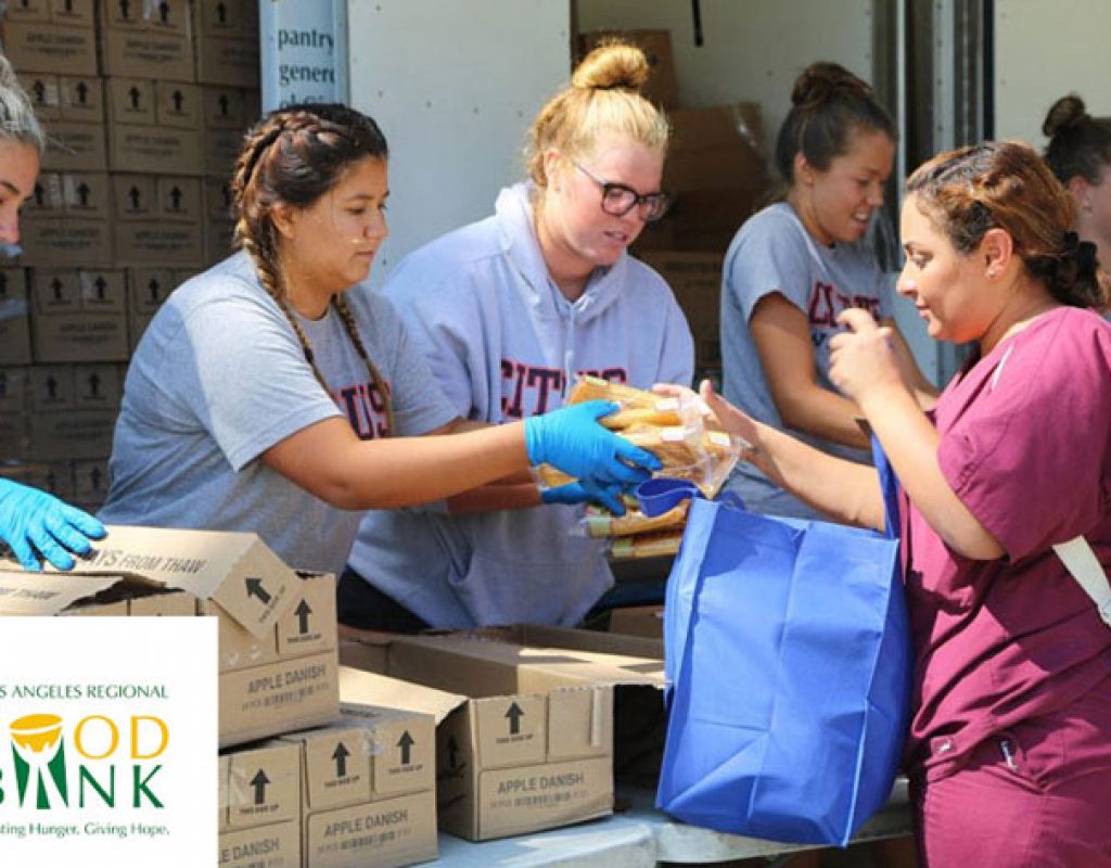 MZed Pro: buy one membership, give one free and help LA’s Food Bank