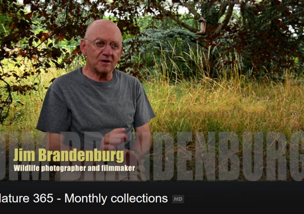 jim brandenburg