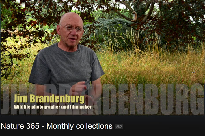 jim brandenburg