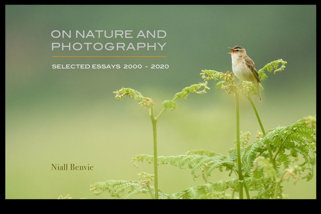 Niall Benvie’s new eBook: a post-Covid -19 photography passport