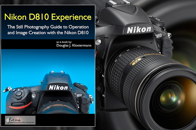 nikond810cheat.jpg