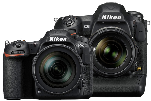 Nikon D5 and D500: two new real DSLRs with 4K UHD video 9