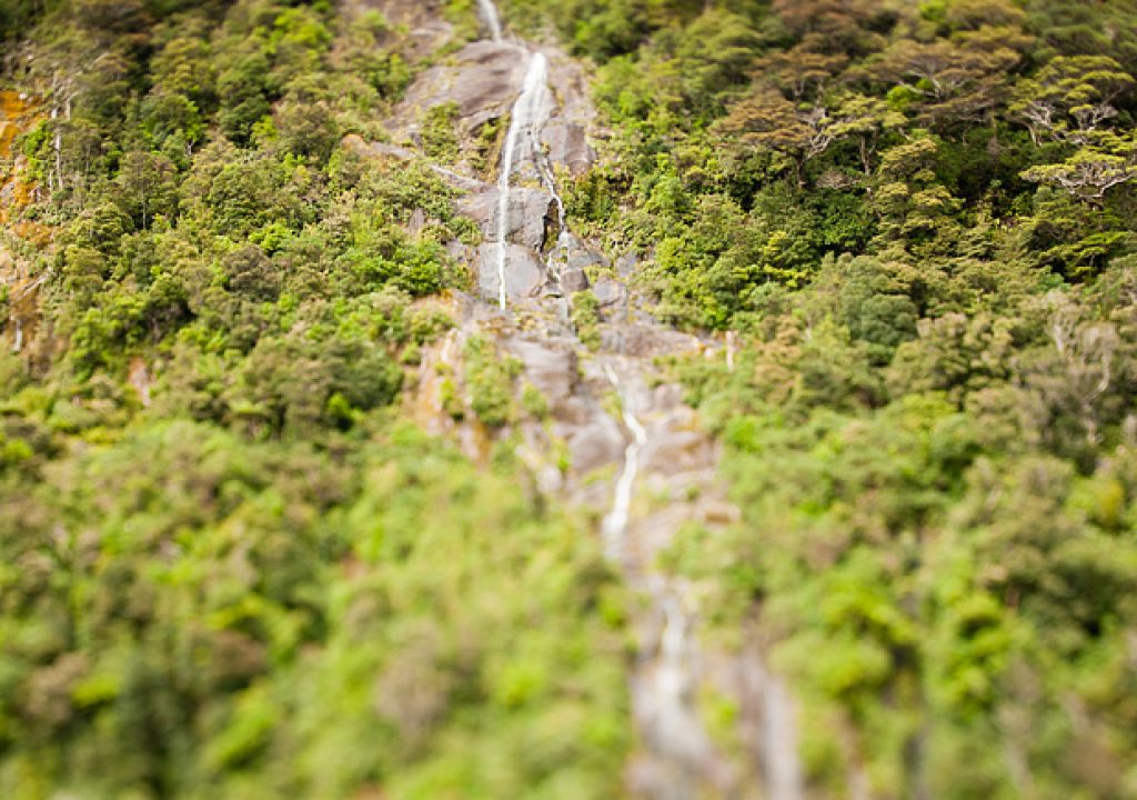 nz1519m.jpg