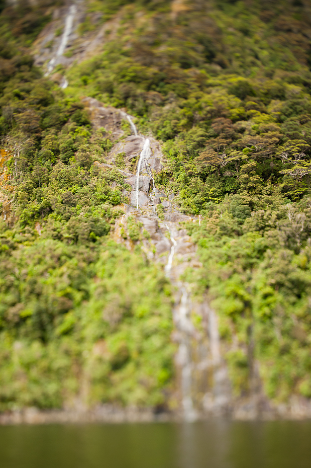 nz1519m.jpg