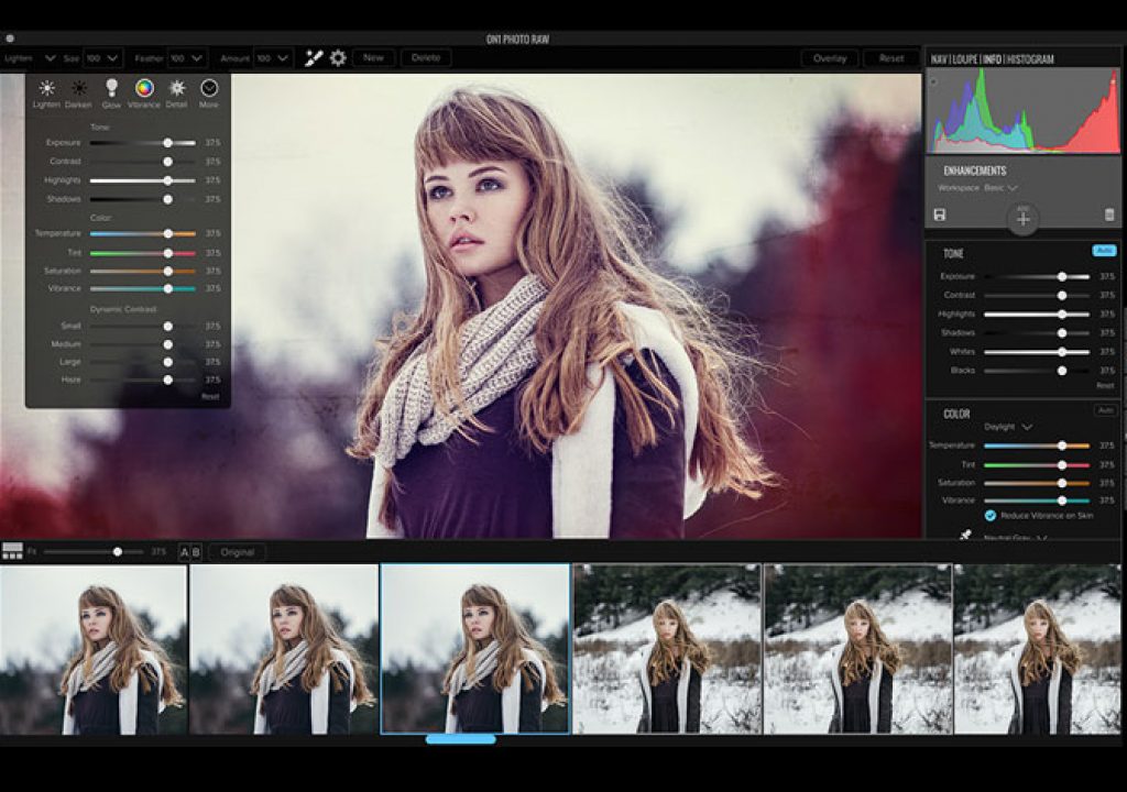 ON1 Photo RAW
