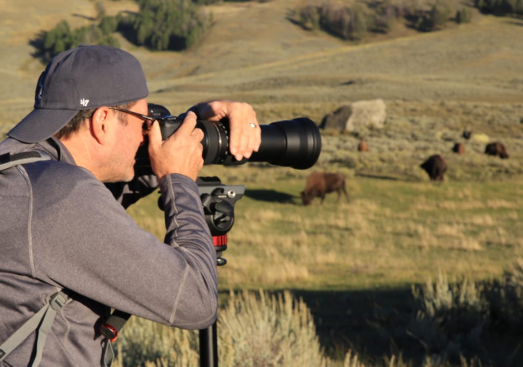 photograph-wild-animals-1.jpg