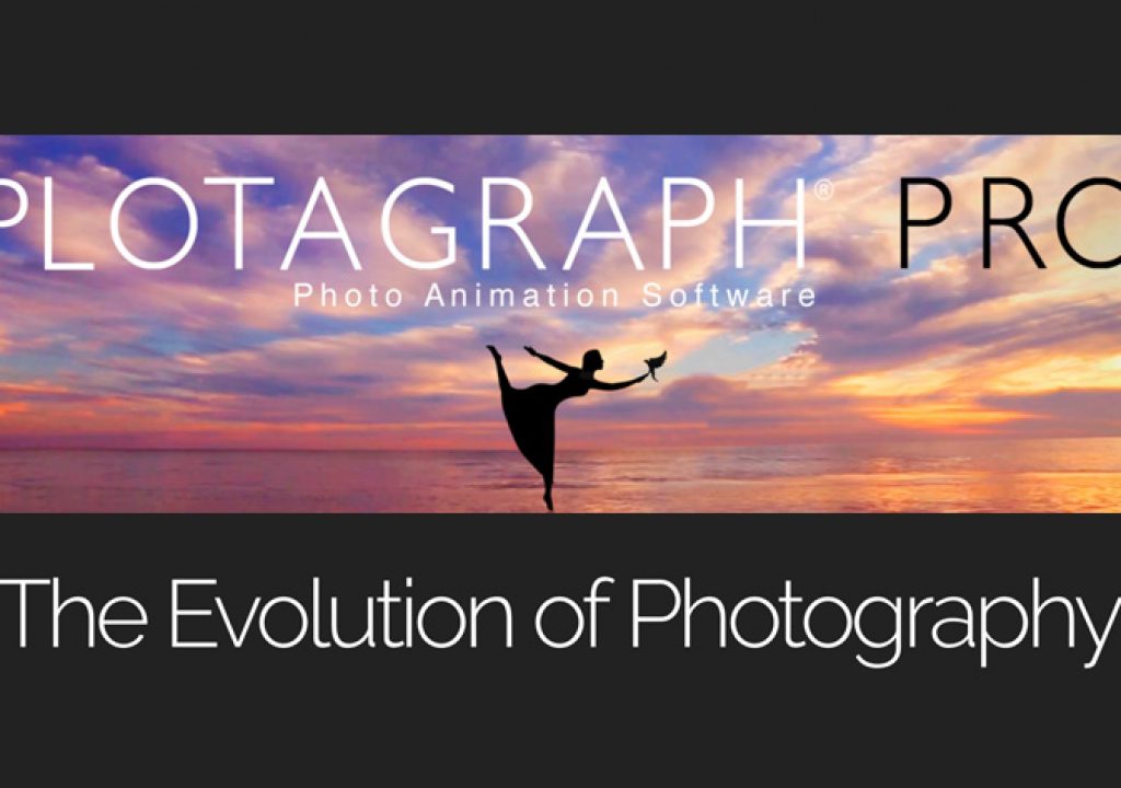 Plotagraph: animating a still photo