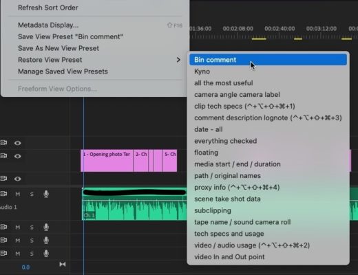 Adobe Premiere Pro Quicktip: Add a Comment column for Bins 18