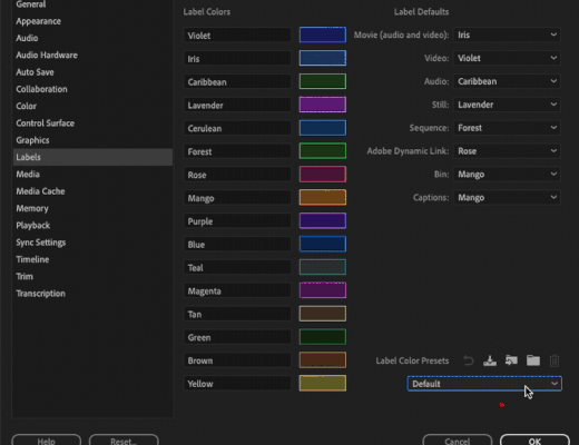 Adobe Premiere Pro (Beta) updates Labels. Editors rejoice. 14