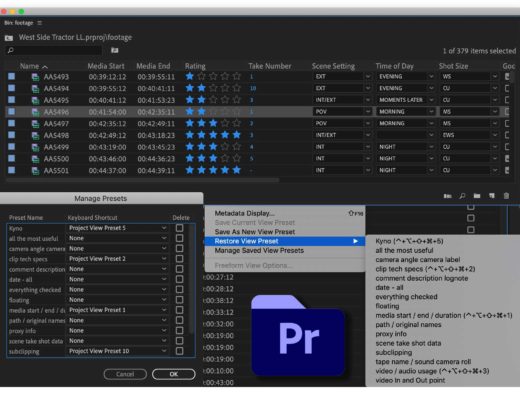 Download my free set of Adobe Premiere Pro Project View Presets 37