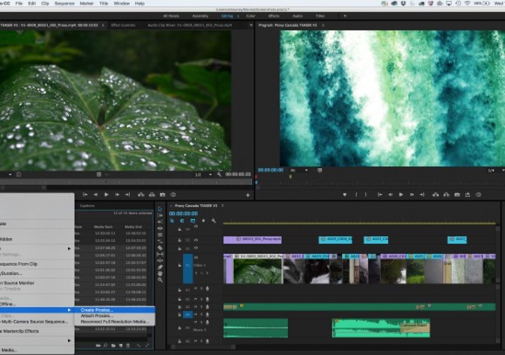 Creative Cloud video 2015.3 – June 2016 update 1