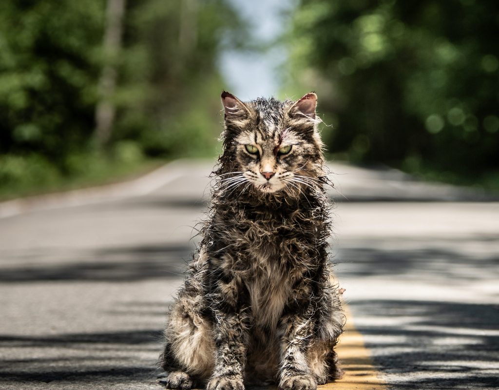 ART OF THE CUT WITH "Pet Sematary" editor, Sarah Broshar 1