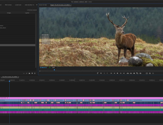 How to Edit Smarter in Premiere Pro 56