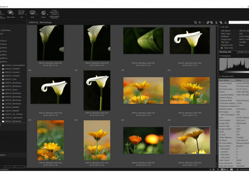 Real Photographs, Simple Workflow