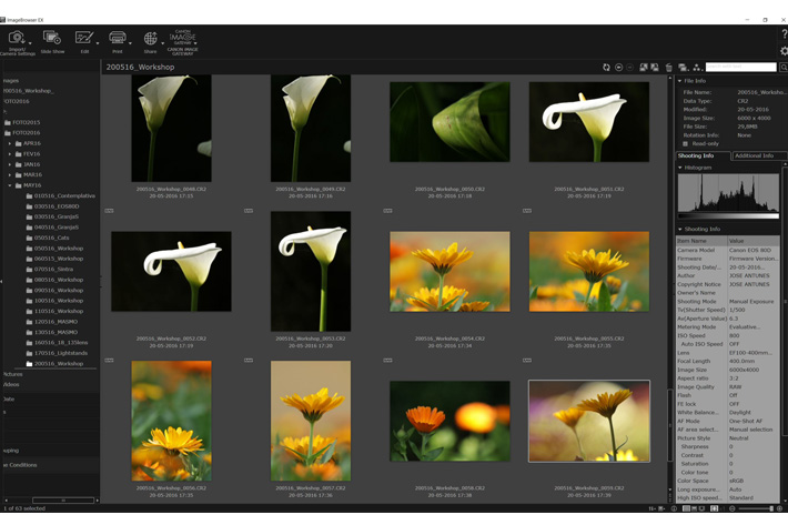 Real Photographs, Simple Workflow