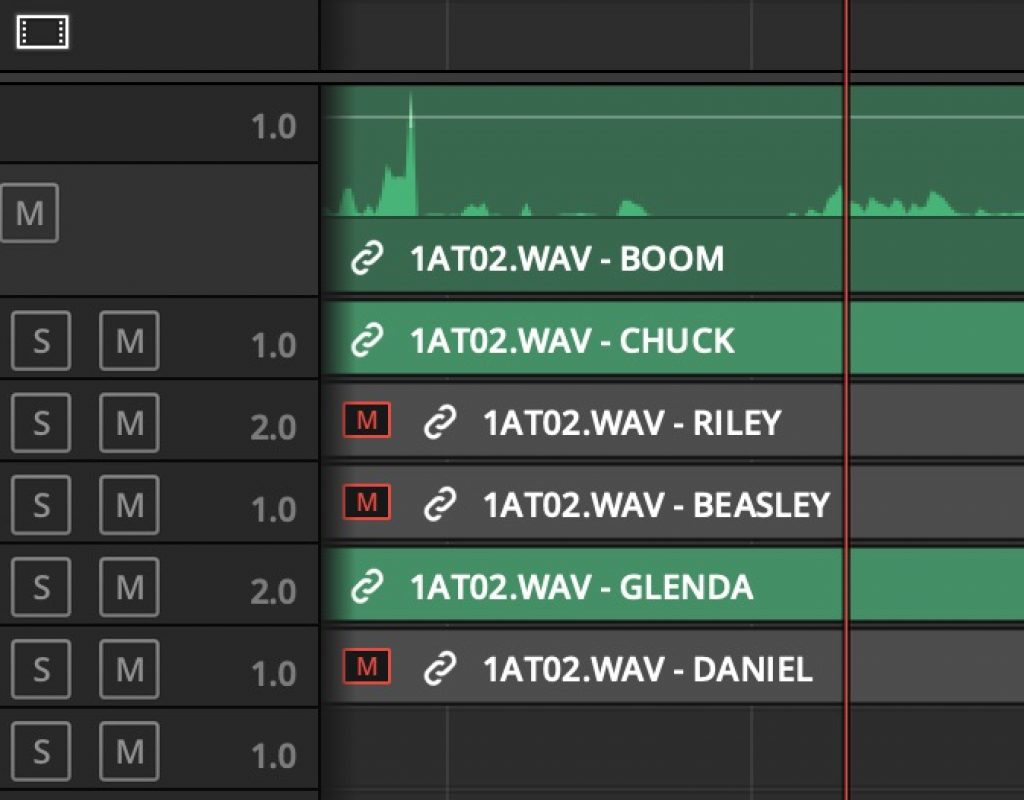 Adobe and Avid need to support iXML metadata for audio channels in the timeline 1
