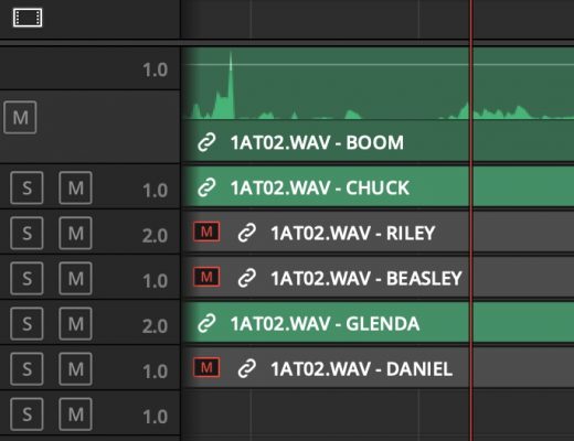 Adobe and Avid need to support iXML metadata for audio channels in the timeline 21