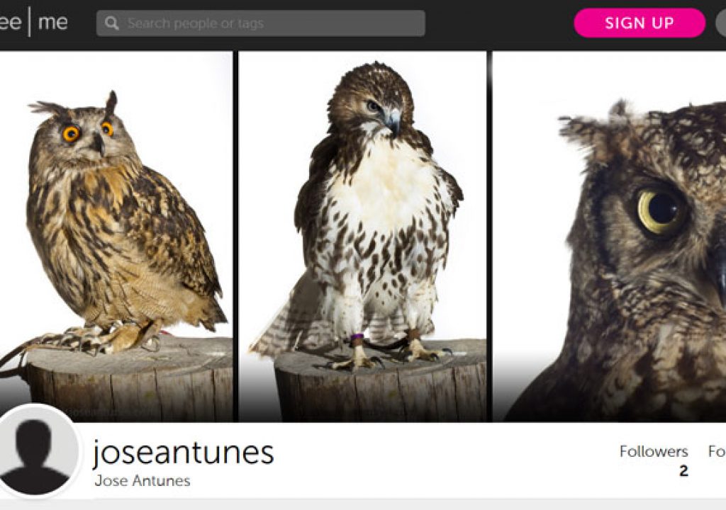 My Photos Are Not Royalty-Free – 2 1