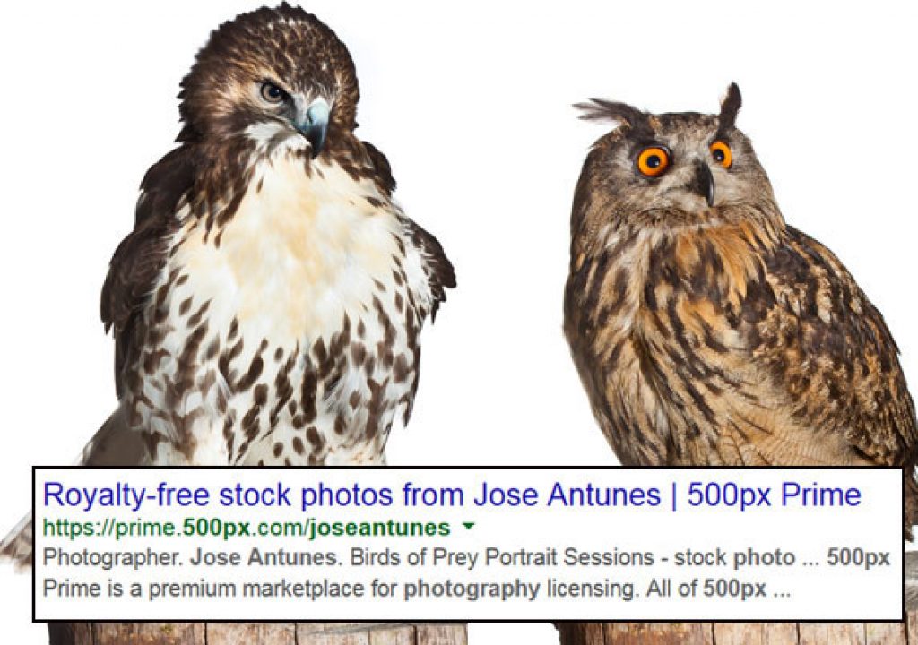 My Photos Are Not Royalty-Free 1