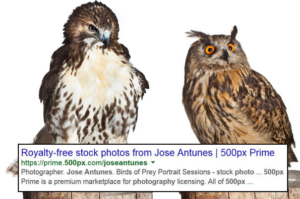 My Photos Are Not Royalty-Free 7