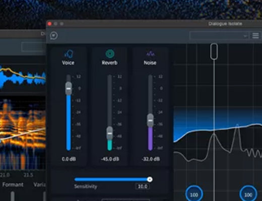 iZotope RX 11 Shootout 6