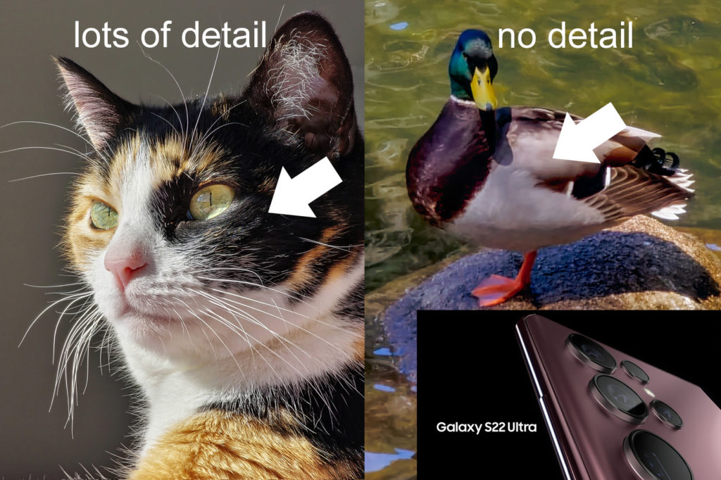 Samsung Galaxy S22 Ultra: inconsistent AF and other problems