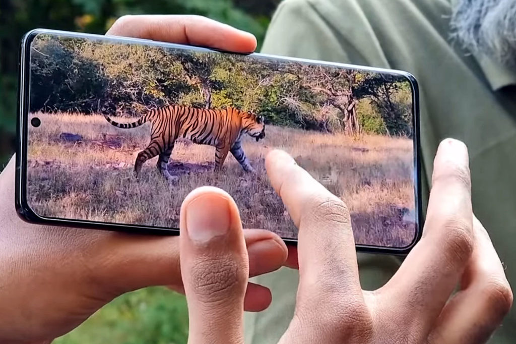 Wildlife documentary shot with Samsung Galaxy S21