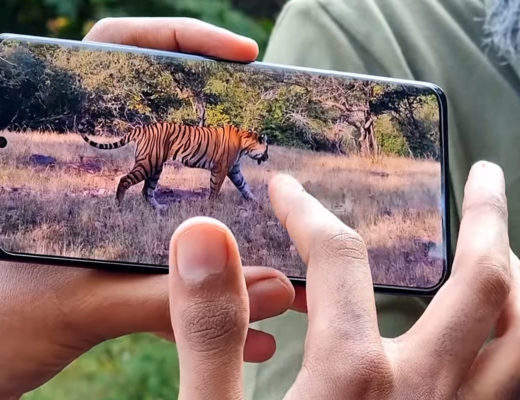 Wildlife documentary shot with Samsung Galaxy S21