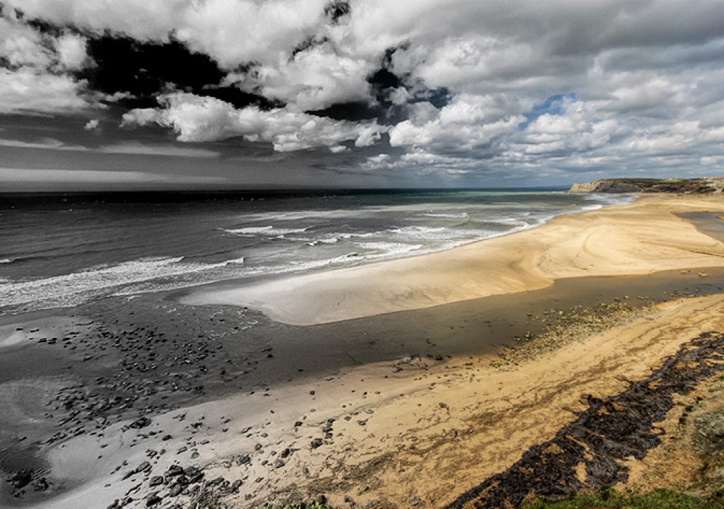 Color and infrared: one sensor does it all