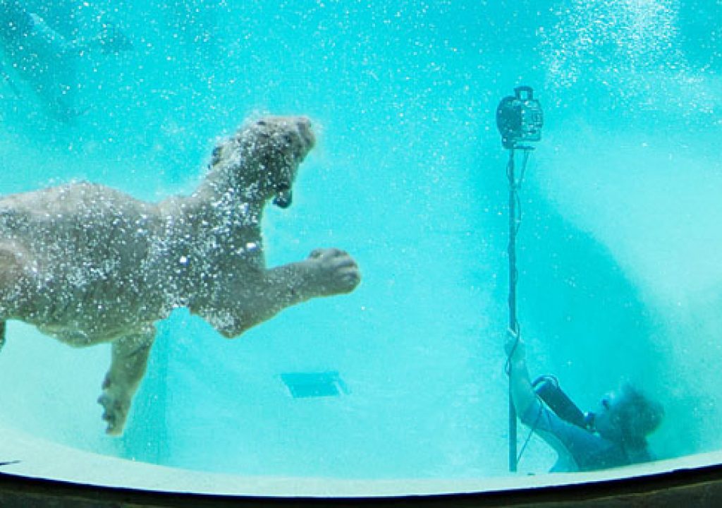 shooting_underwater.jpg