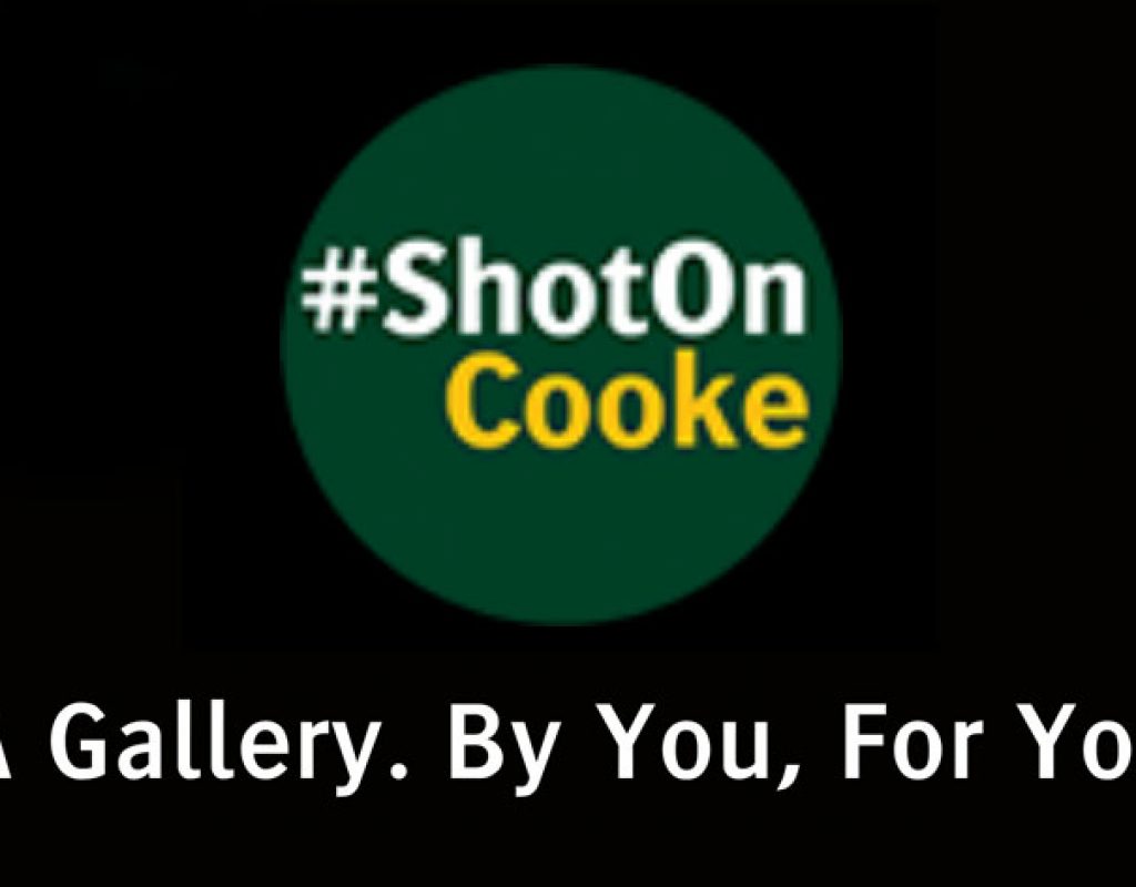 ShotOnCooke: a gallery to show how Cooke lenses are used