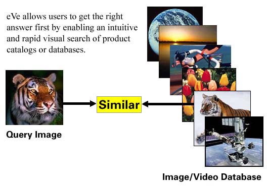 similar.jpg