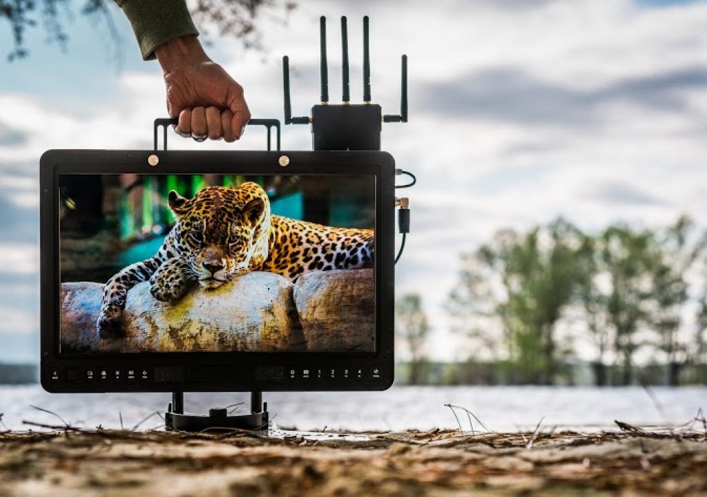 SmallHD facing a rename with three new oversized HDR monitors 1