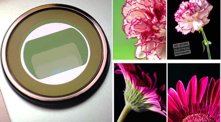 Do you know how close your smartphone's lenses focus?