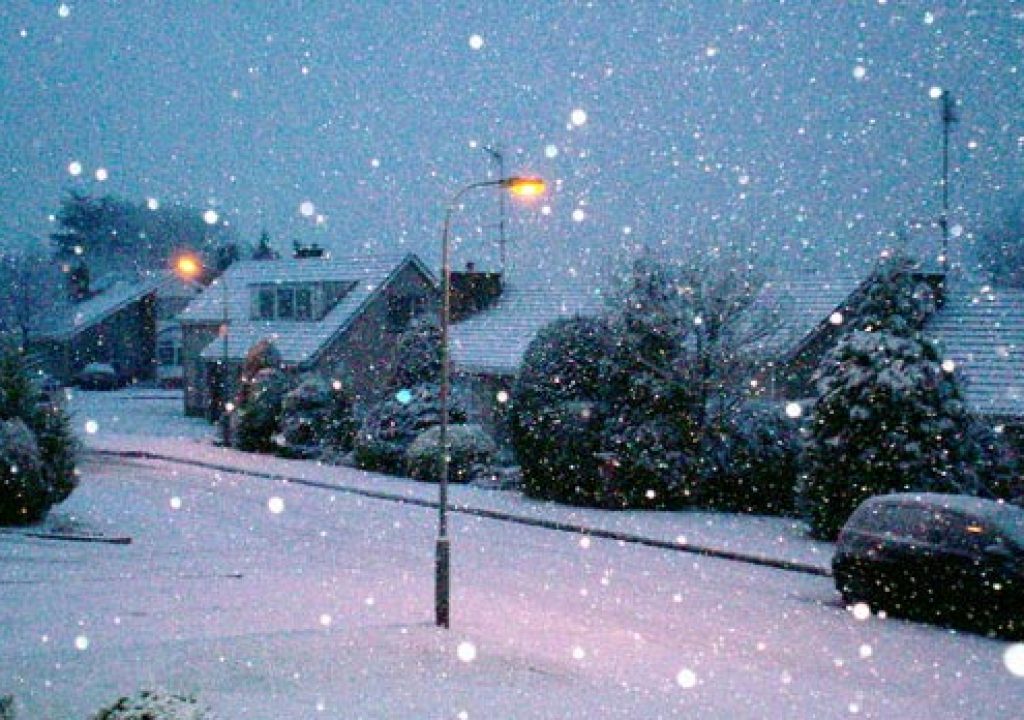 snowed2.jpg