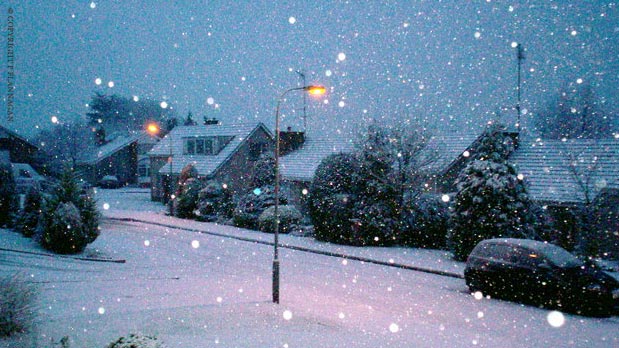 snowed2.jpg