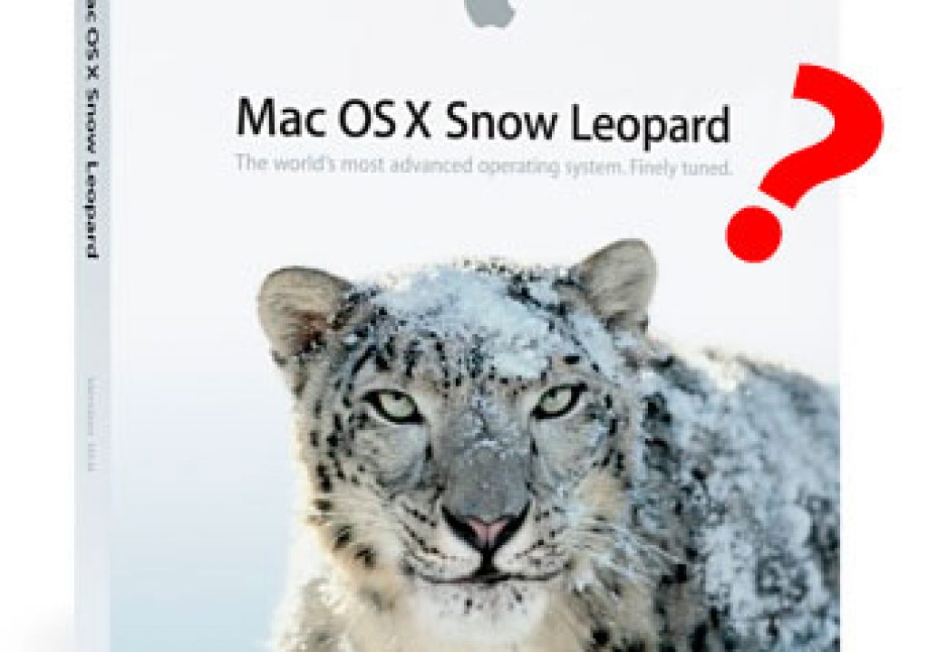 snowleopardq2.jpg