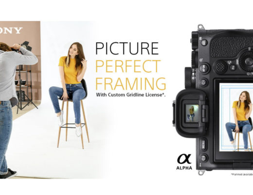 Sony announces custom gridline license for Alpha cameras