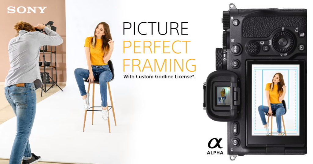 Sony’s new Custom Grid Line license costs $149 per camera