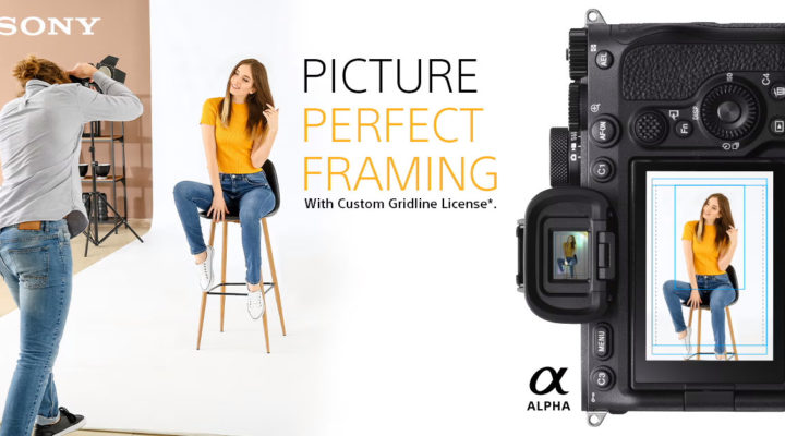 Sony’s new Custom Grid Line license costs $149 per camera