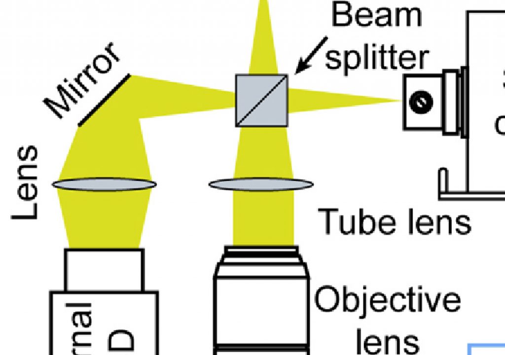 Imaging at the speed of light