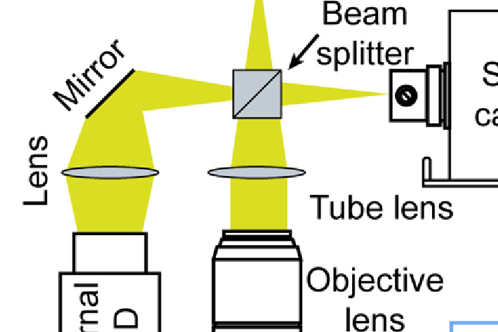 Imaging at the speed of light