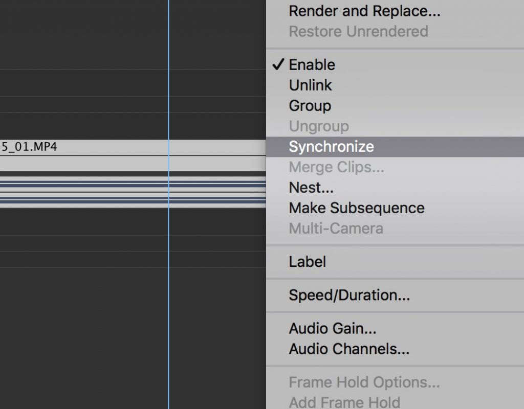 Using 'Synchronize' in Premiere Pro 5