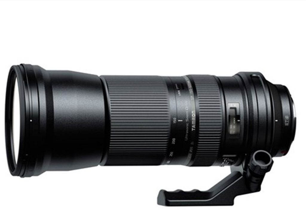 tamron600_01.jpg
