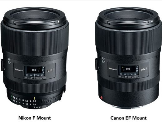 Tokina atx-i 100mm f/2.8 Macro FF: more than a macro lens for DSLRs