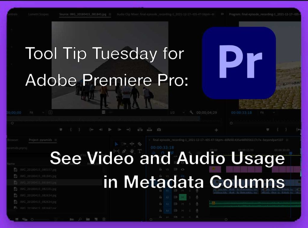 Tool Tip Tuesday for Adobe Premiere Pro: Video and Audio Usage columns 1